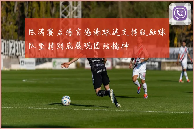 陈涛赛后感言感谢球迷支持鼓励球队坚持到底展现团结精神